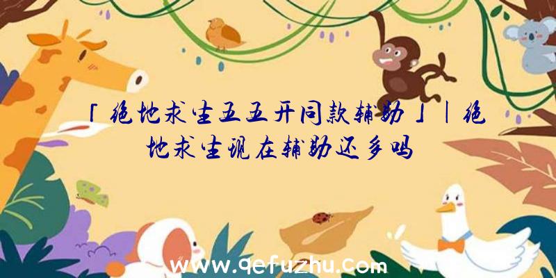 「绝地求生五五开同款辅助」|绝地求生现在辅助还多吗